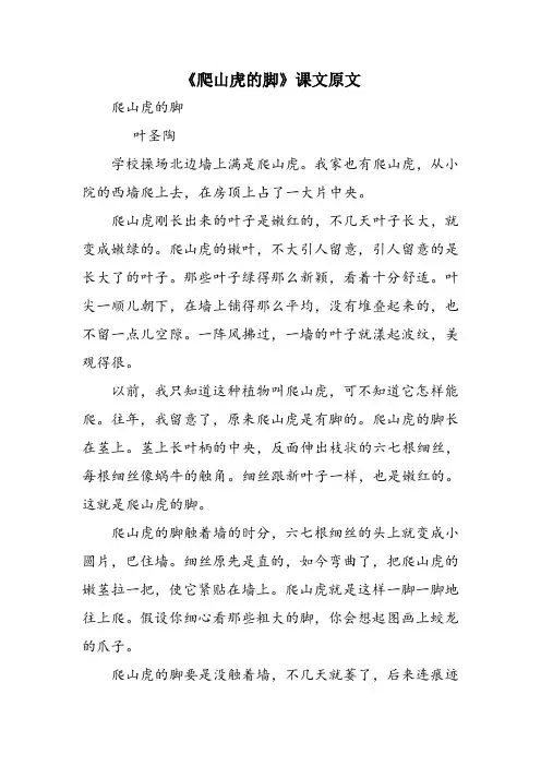 《爬山虎的脚》课文原文
