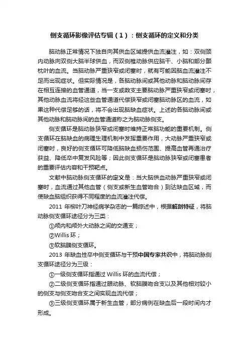 侧支循环影像评估专辑（1）：侧支循环的定义和分类