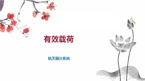 有效载荷    