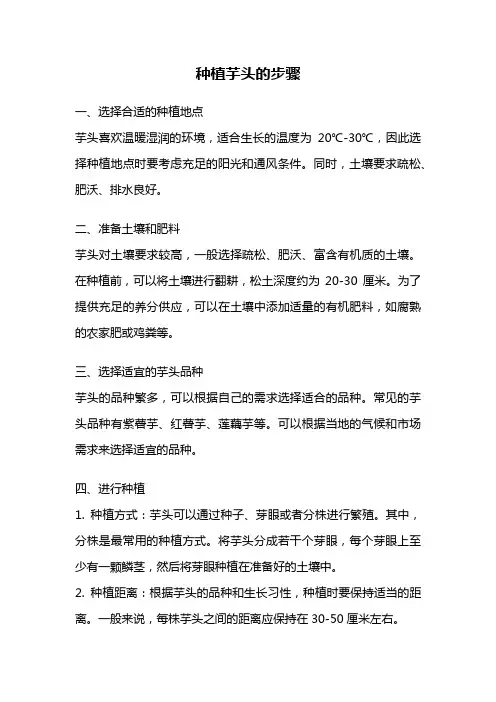 种植芋头的步骤