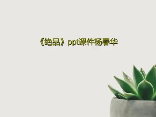 《绝品》ppt课件杨春华共21页PPT