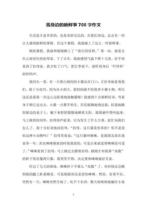 我身边的新鲜事700字作文
