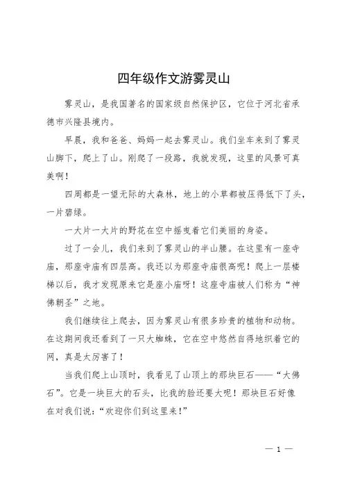 四年级作文游雾灵山