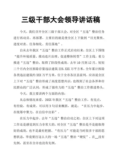 三级干部大会领导讲话稿