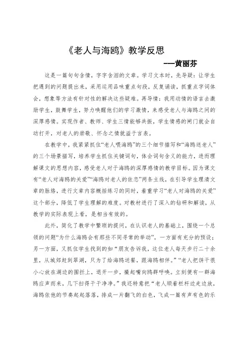 《老人与海鸥》教学反思