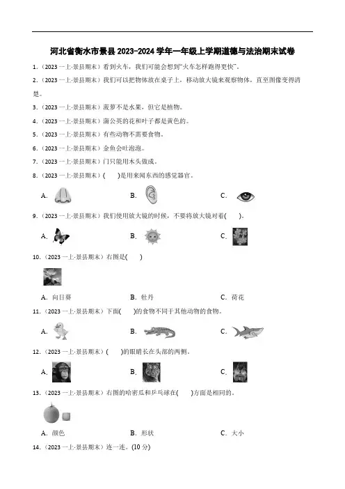 【精品解析】河北省衡水市景县2023-2024学年一年级上学期道德与法治期末试卷