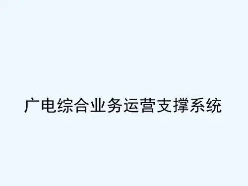 广电综合业务运营支撑系统 PPT