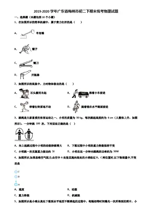 2019-2020学年广东省梅州市初二下期末统考物理试题含解析