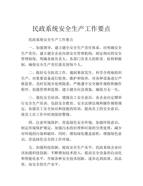 民政系统安全生产工作要点