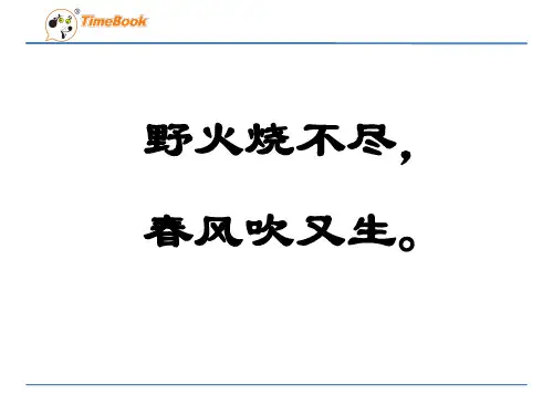 北师大六下野草
