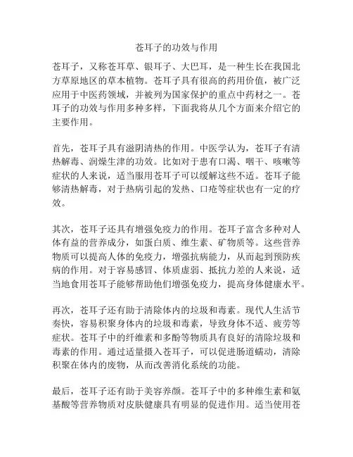 苍耳子的功效与作用