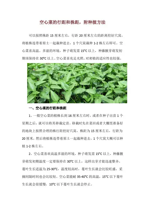 空心菜的行距和株距,附种植方法