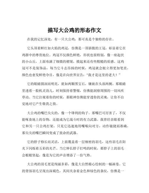 描写大公鸡的形态作文