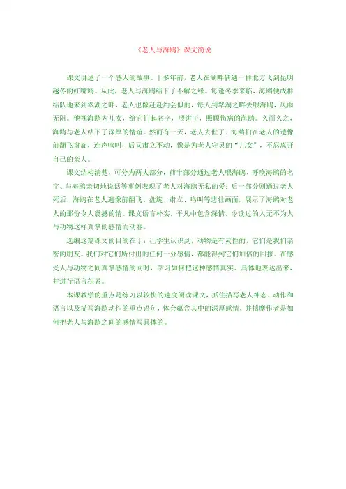 最新版六年级上语文  《老人与海鸥》课文简说