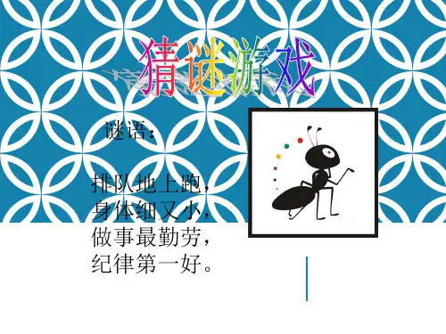 北师大版三年级数学上册《蚂蚁做操》PPT课件