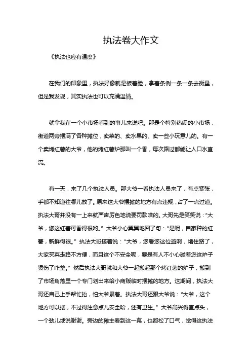 执法卷大作文