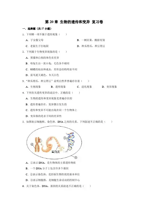 第6单元 第20章 生物的遗传和变异 复习卷  2021--2022学年北师大版八年级生物上册