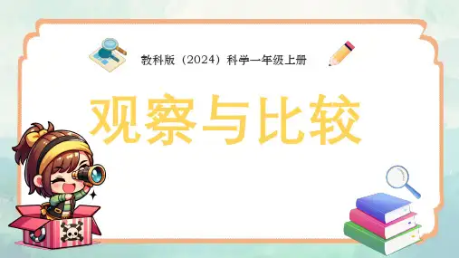 2024教科版一年级科学观察与比较课件