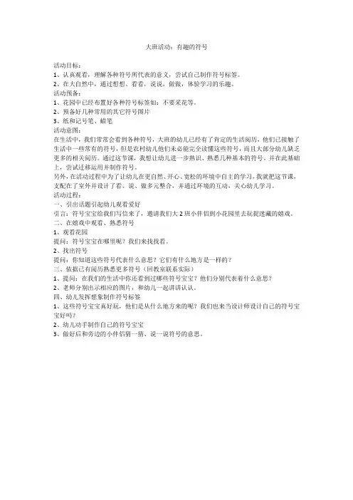 大班活动：有趣的符号