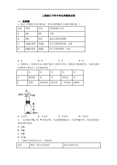上海徐汇中学中考化学模拟试卷