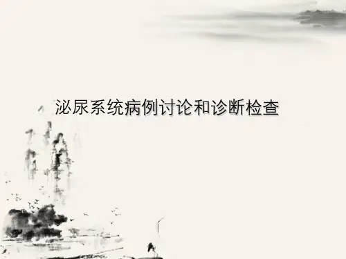 泌尿系统病例讨论与诊断检查