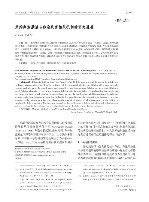 原始卵泡激活与卵泡发育相关机制的研究进展