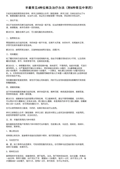 羊最常见4种拉稀及治疗办法（附6种常见中草药）