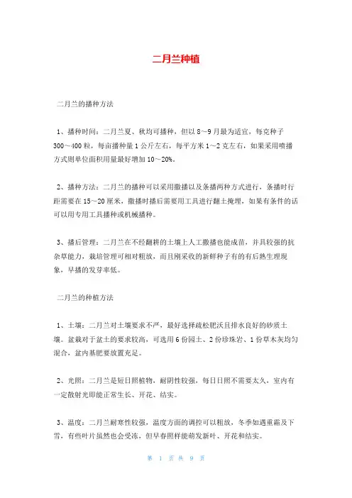 二月兰种植