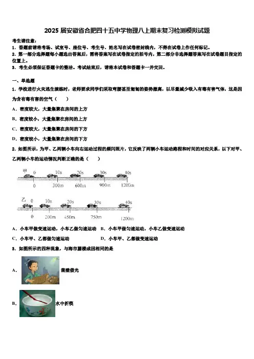 2025届安徽省合肥四十五中学物理八上期末复习检测模拟试题含解析