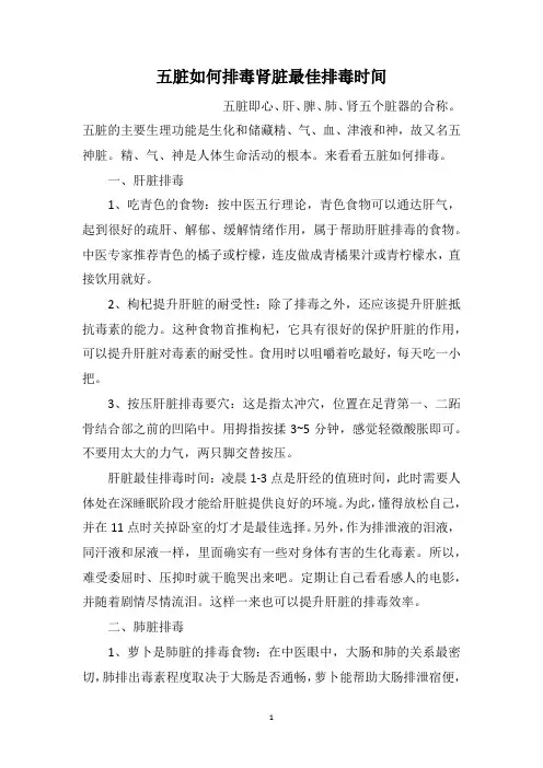 五脏如何排毒肾脏最佳排毒时间