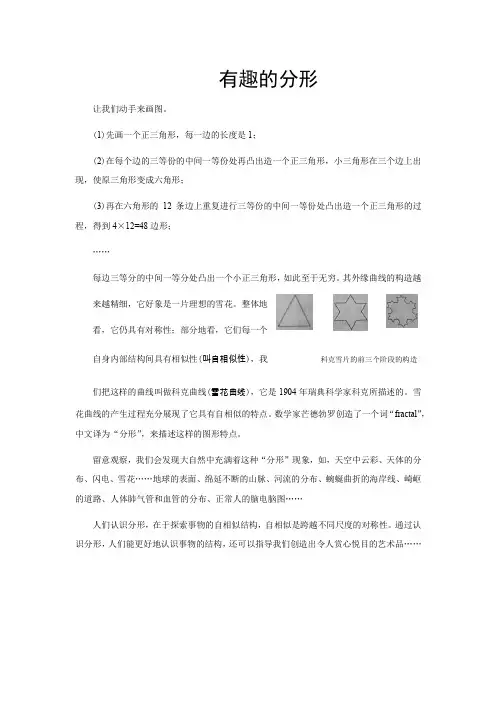 生活中的数学——有趣的分形