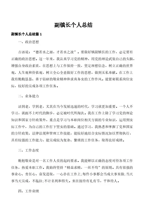 副镇长个人总结