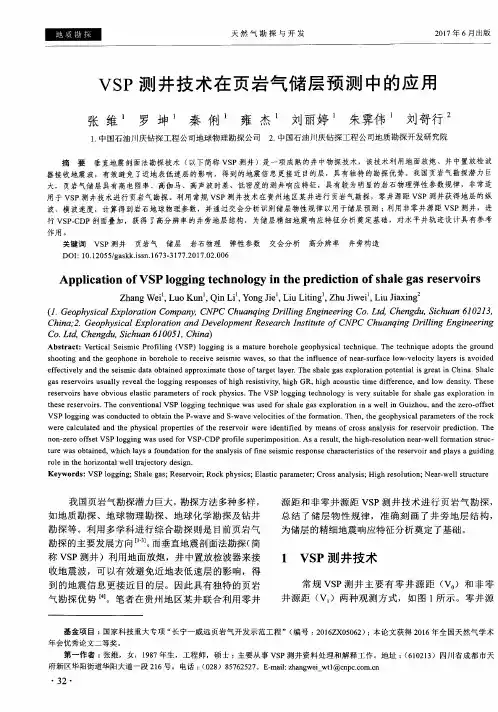 VSP测井技术在页岩气储层预测中的应用