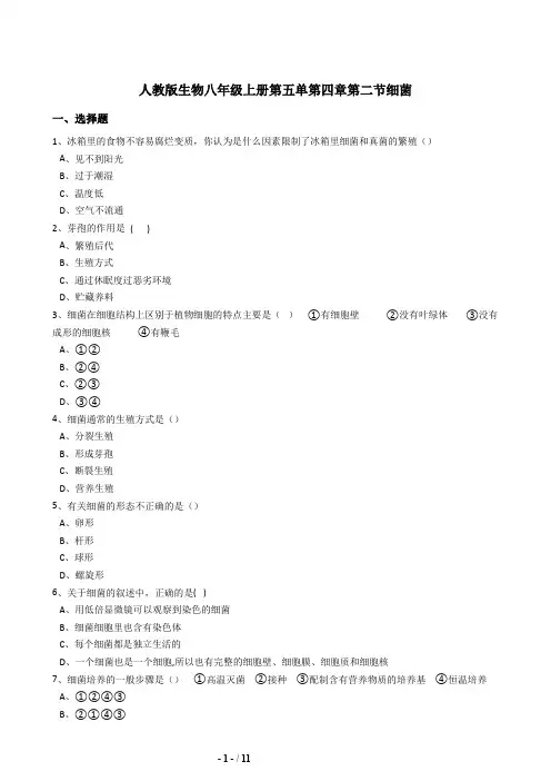人教版八年级生物上册5.4.2细菌同步练习(含答案)