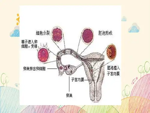 高中生物教材图片(清晰完整版) 图文
