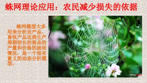 蛛网理论