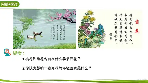 生物人教版(2019)选择性必修1 5.4环境因素参与调节植物的生命活动(共25张ppt)