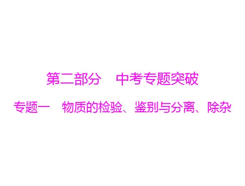 第二部分 专题一 物质的检验、鉴别与分离、除杂-广东中考复习化学课件(共24张PPT)