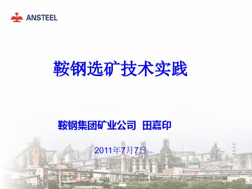 鞍钢选矿技术实践
