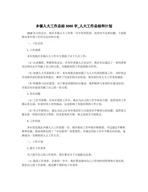 乡镇人大工作总结3000字_人大工作总结和计划