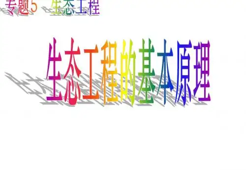 高中生物5.1生态工程的基本原理课件新人教版选修3