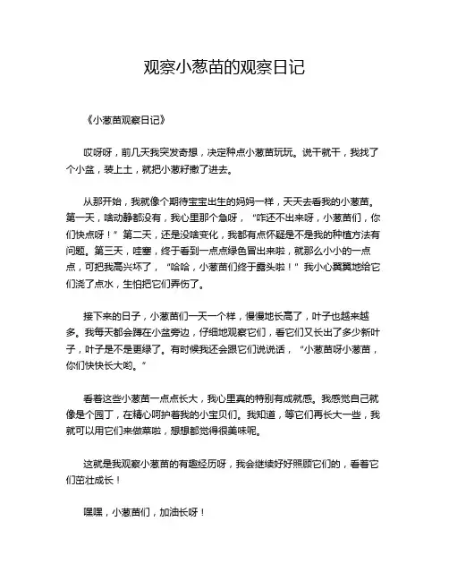 观察小葱苗的观察日记