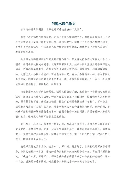 河南水煎包作文