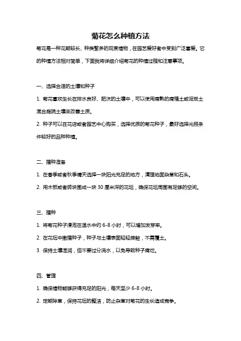 菊花怎么种植方法