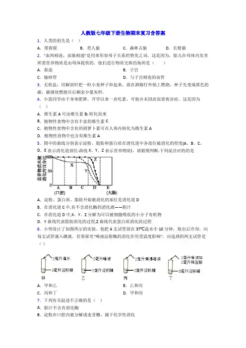 人教版七年级下册生物期末复习含答案