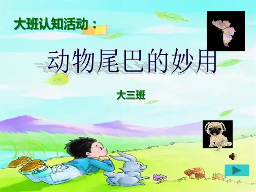 动物的尾巴(共35张PPT)