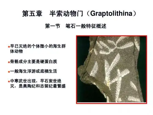 古生物学——第五章半索动物门