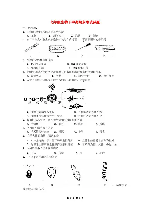 七年级生物下学期期末考试试卷