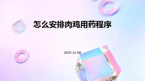 怎么安排肉鸡用药程序