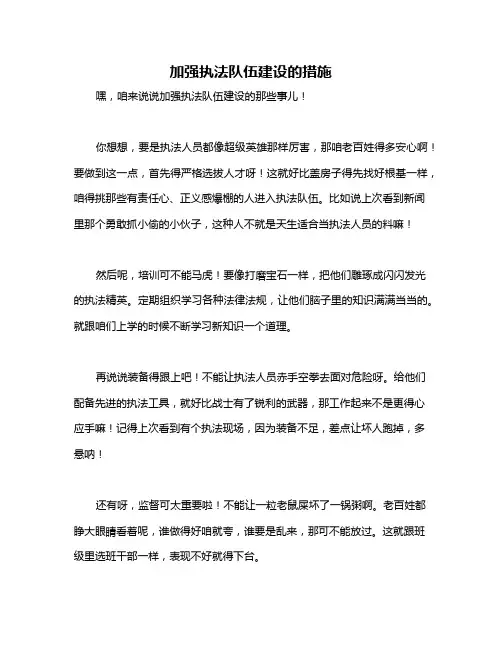 加强执法队伍建设的措施
